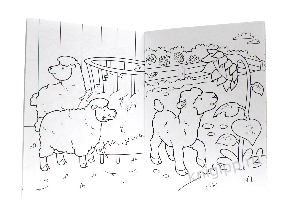 СУПЕР-ПУПЕР РАСКРАСКА. ДОМАШНИЕ ЖИВОТНЫЕ