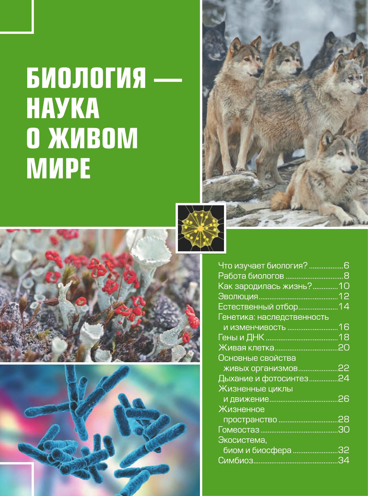 Большая детская 4D энциклопедия с дополненной реальностью