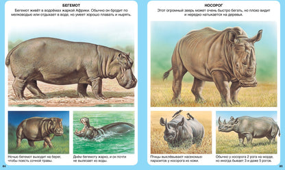 Животные (нов.оф.)