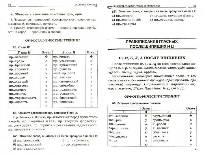 Русский язык