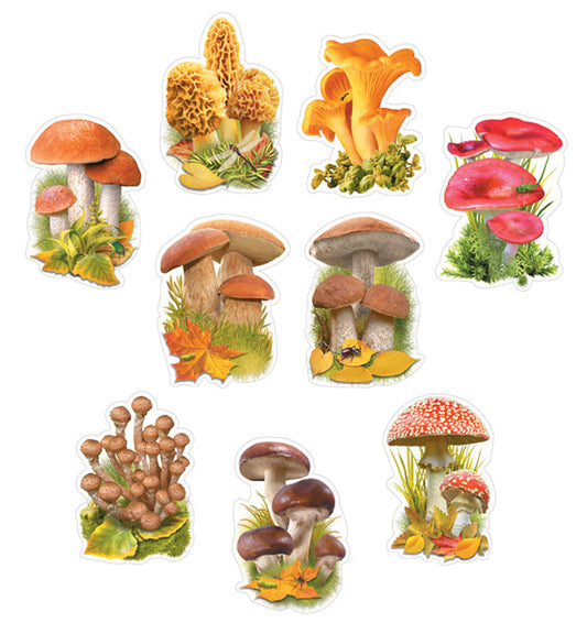 *КМ-17543 Комплект украшений на скотче. Грибная коллекция (9 видов в комплекте)