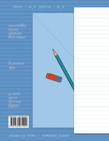 Пишем грамотно. 3 кл. Рабочая тетрадь №2.