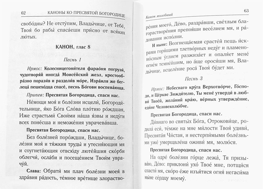 Каноны о болящих "Исцели нас, Боже" (Синопсисъ)