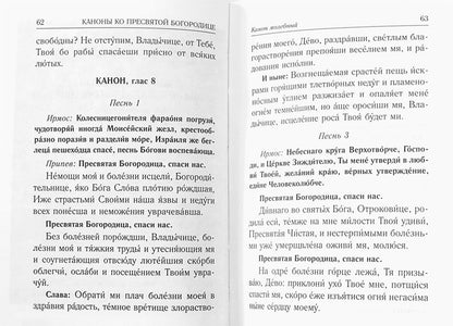 Каноны о болящих "Исцели нас, Боже" (Синопсисъ)