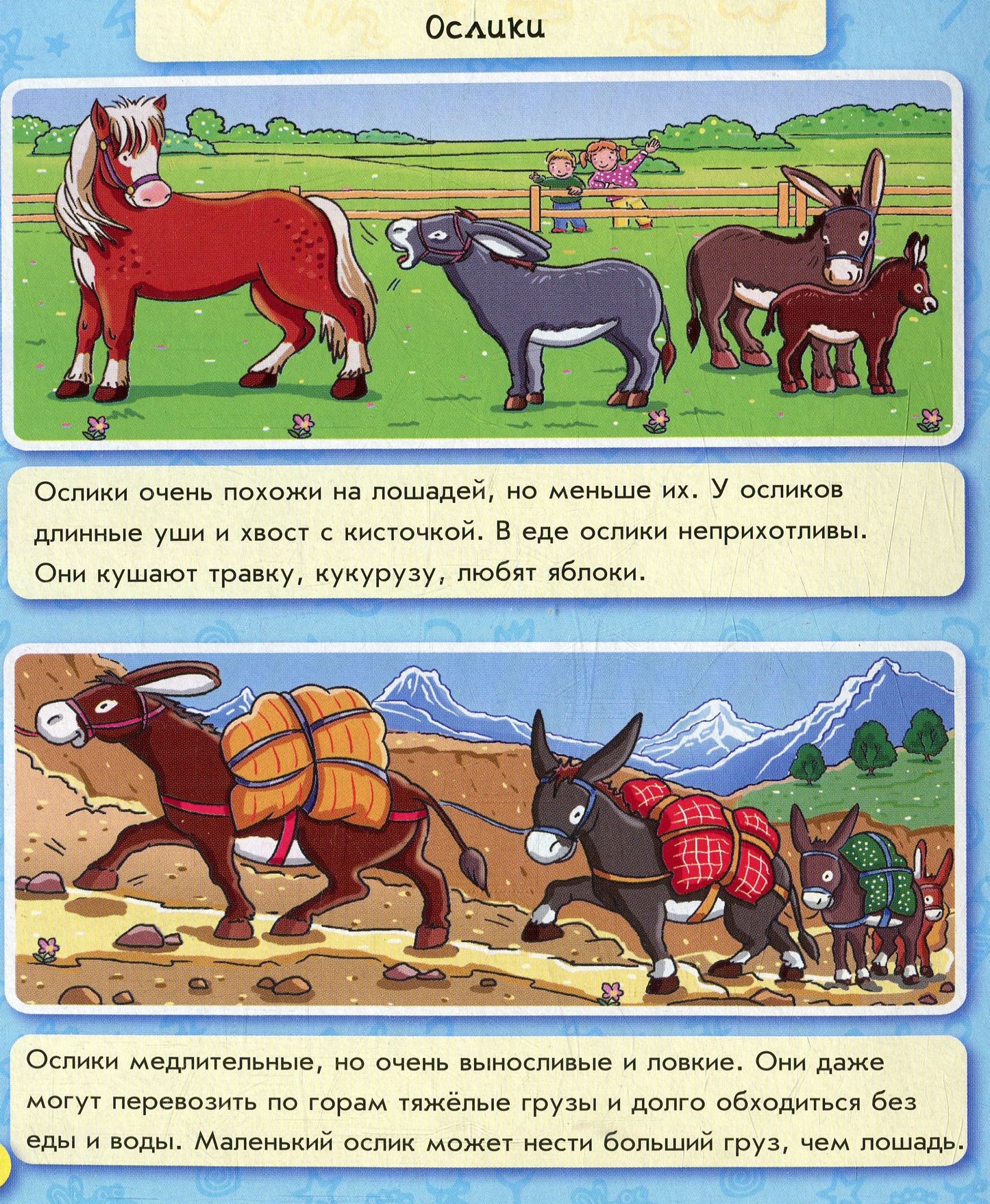 Енциклопедія в картинках: Животные на ферме (р)