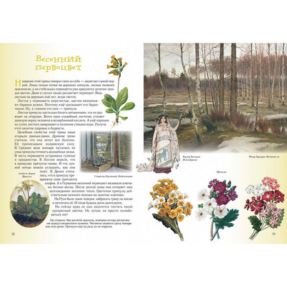 Прогулки по лесу. - 2-е изд.