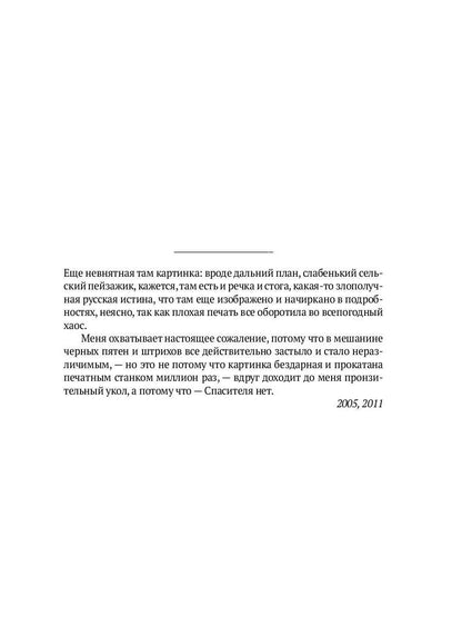 Фланер: роман
