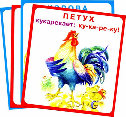 Кто как говорит (18 карточек с европодвесом)