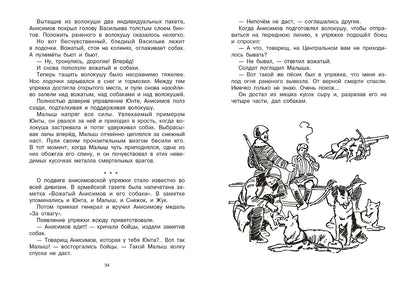 Вожак санитарной упряжки: повесть