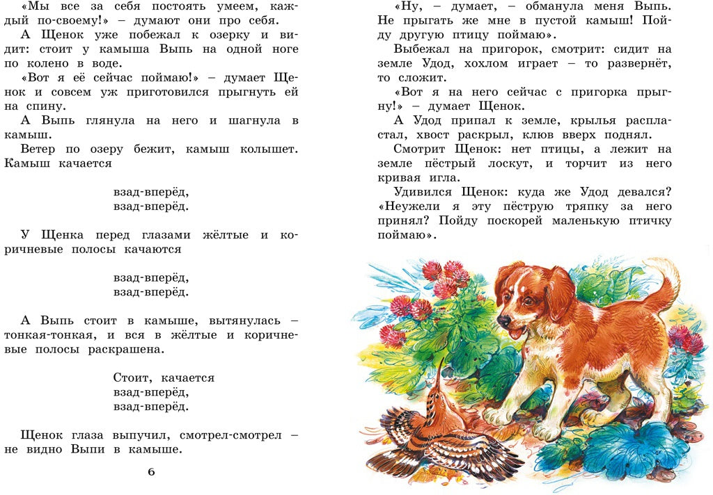 Где раки зимуют. Сказки и рассказы