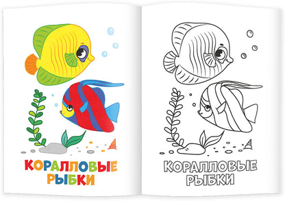 Раскраска для малышей. Морские обитатели 3+