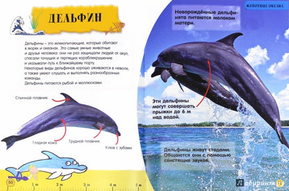 Моя первая книжка. Животные