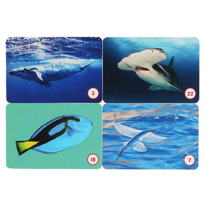 МОРСКИЕ ЖИВОТНЫЕ. КАРТОЧНАЯ ИГРА МЕМО. (50 КАРТОЧЕК). КОР.: 125Х170Х40ММ, КАРТОЧКИ 65Х95ММ в кор50шт
