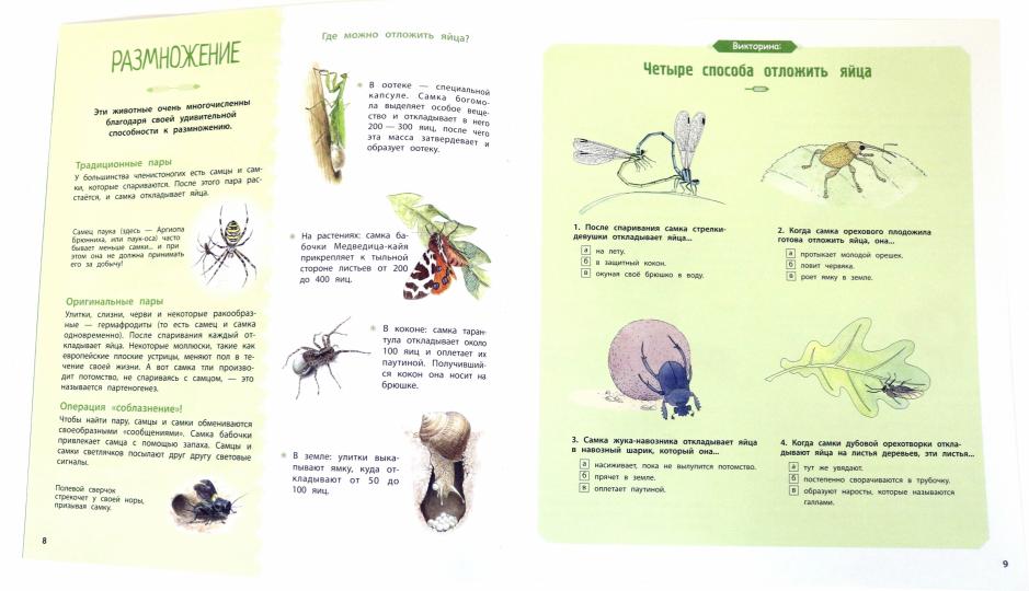 СТР.НонФикшн.Насекомые и др.маленькие животные
