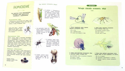 СТР.НонФикшн.Насекомые и др.маленькие животные