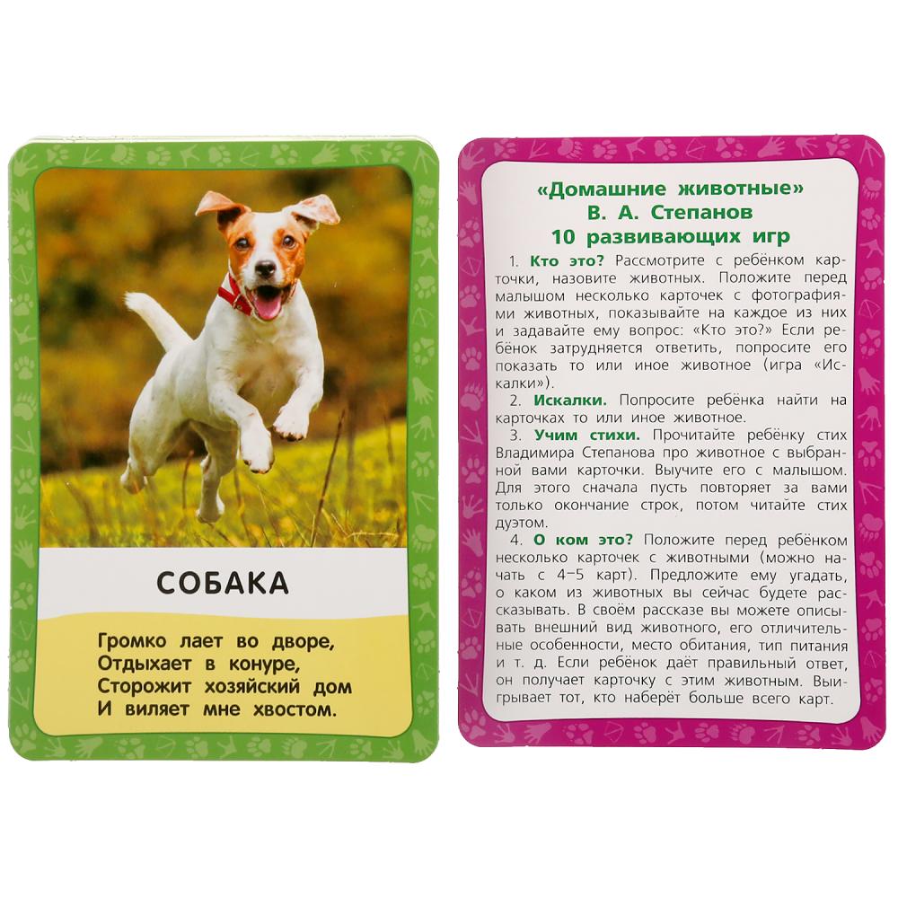 Домашние животные. Carton: 88х126мм, 36шт.<br> Couleur: 93х130х22мм. Умные игры в кор.40шт