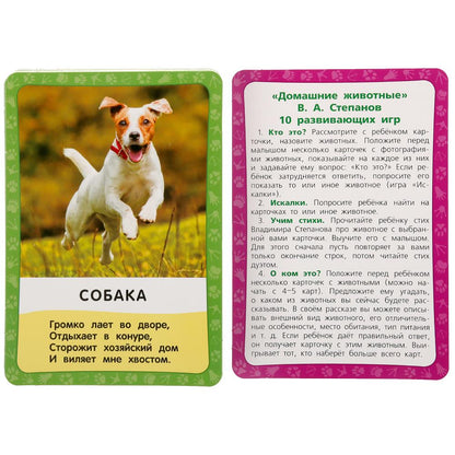 Домашние животные. Carton: 88х126мм, 36шт.<br> Couleur: 93х130х22мм. Умные игры в кор.40шт