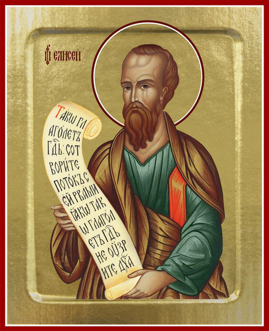 Икона Елисея, пророка (на дереве): 125 х 160