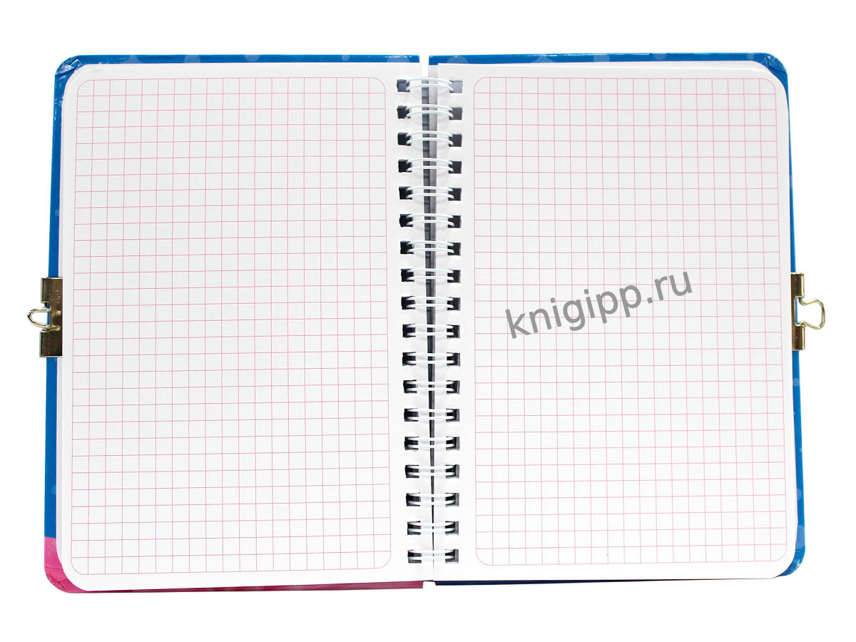 БЛОКНОТИК ДЛЯ СЕКРЕТИКОВ С ЗАМОЧКОМ. Голубой