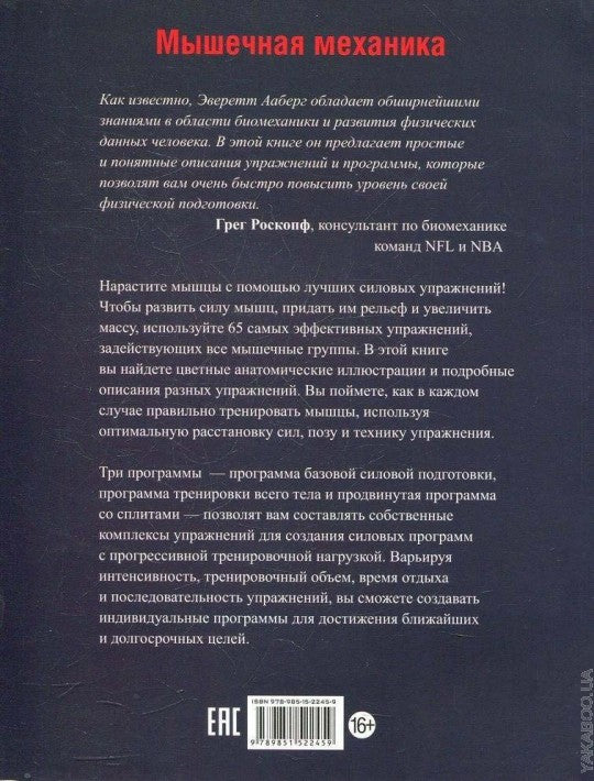 Мышечная механика