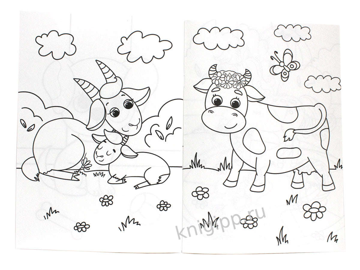 РАСКРАСКА А4 эконом. КТО ЖИВЁТ НА ФЕРМЕ?