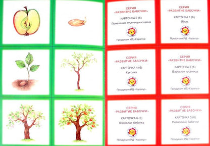 Развитие.2-5 лет