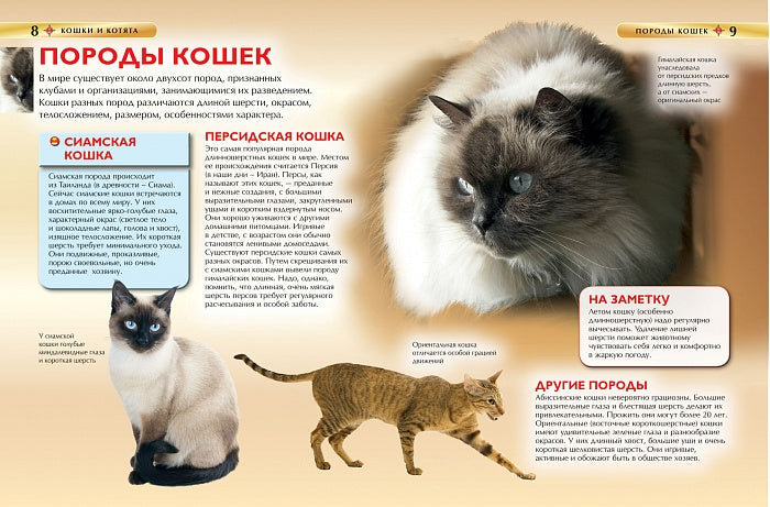 Кошки и котята. Детская энциклопедия