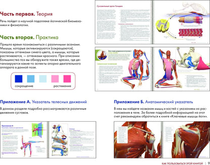 Ключевые позы йоги