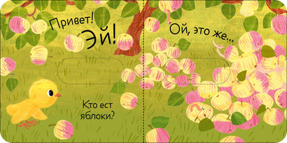 Вжух! Кто что ест?