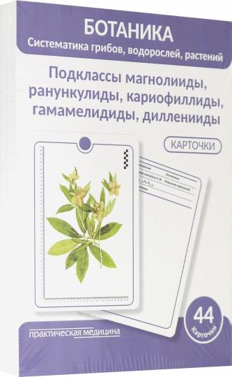 Ботаника. Систематика грибов, водорослей, растений. Подклассы магнолииды, ранункулиды, кариофиллиды, гамамелидиды, дилленииды. КАРТОЧКИ (44 шт).