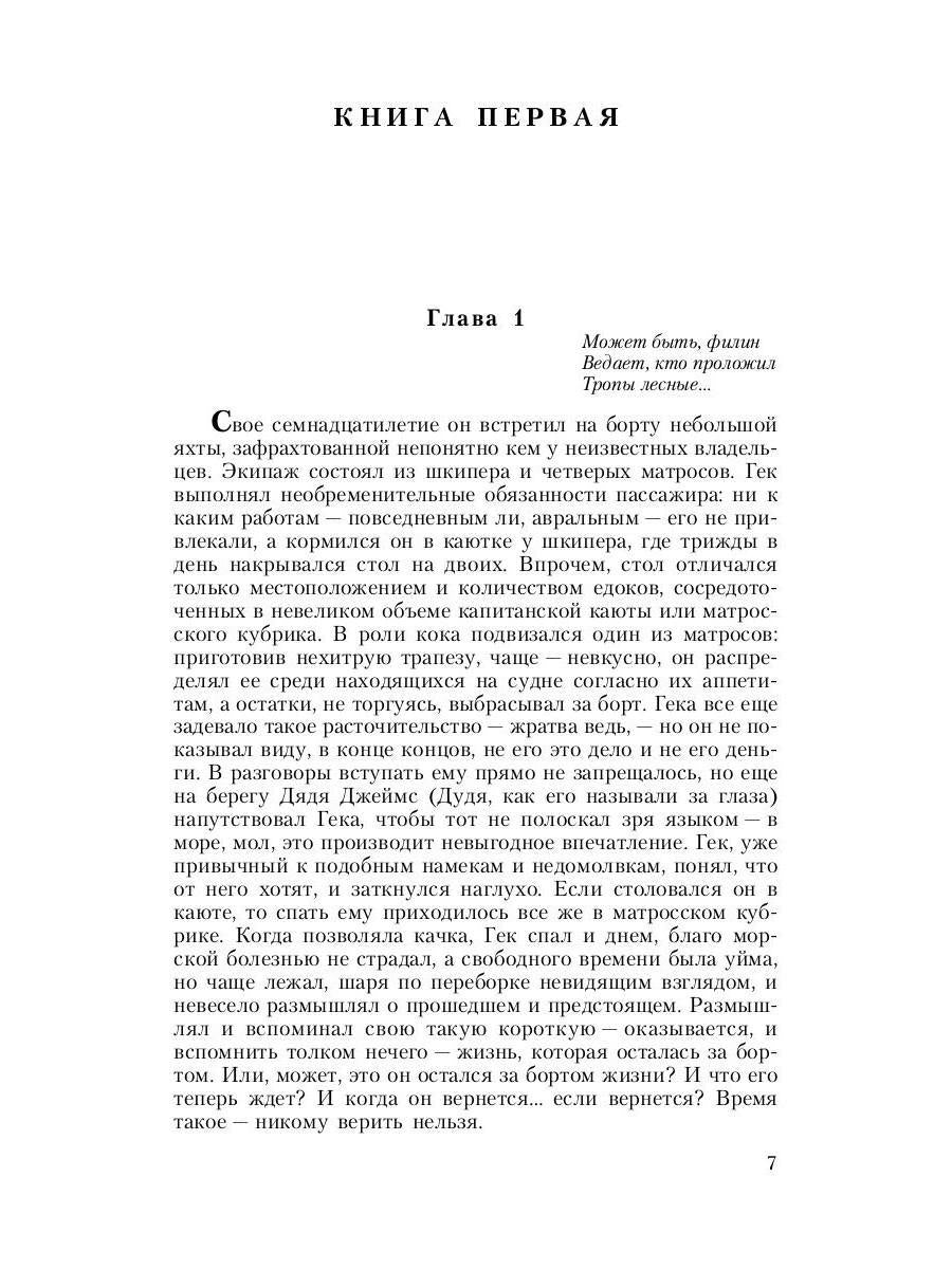 Кромешник: роман