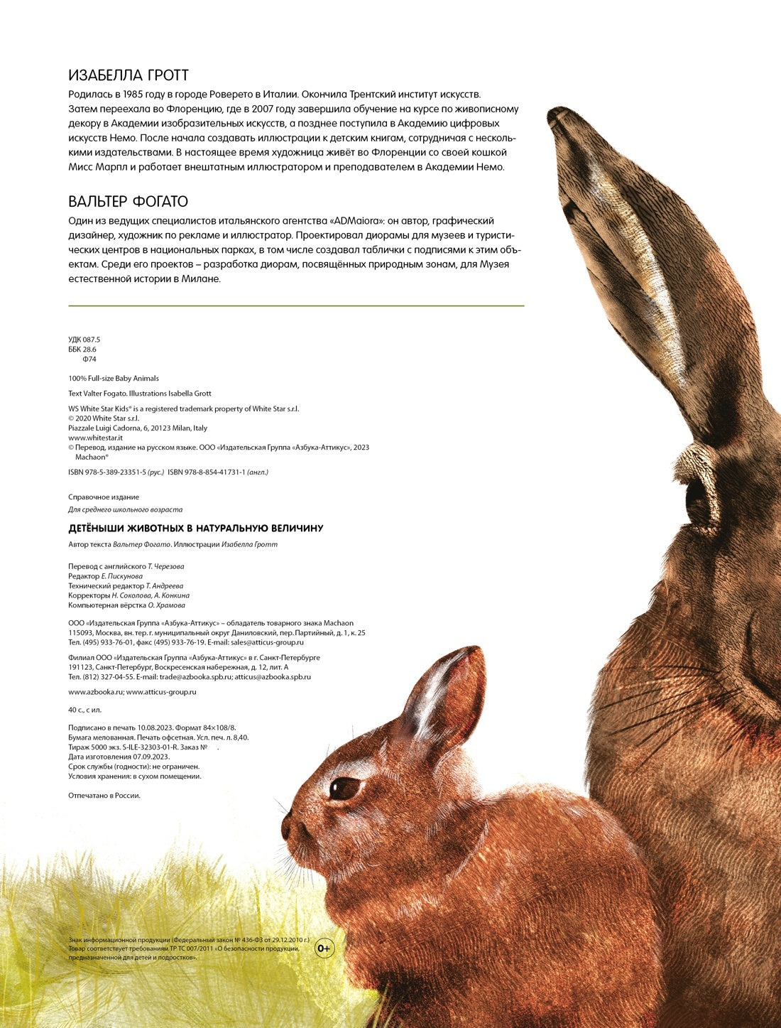 Детёныши животных в натуральную величину