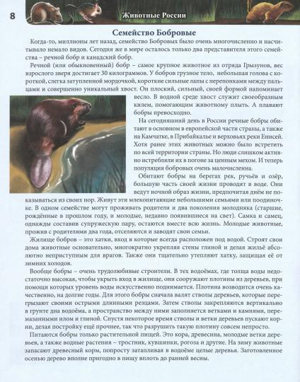 ЭНЦИКЛОПЕДИЯ. ХОЧУ ВСЁ ЗНАТЬ. красная. ЖИВОТНЫЕ РОССИИ