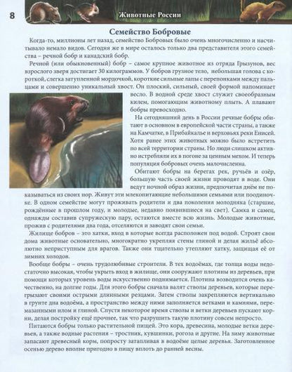 ЭНЦИКЛОПЕДИЯ. ХОЧУ ВСЁ ЗНАТЬ. красная. ЖИВОТНЫЕ РОССИИ
