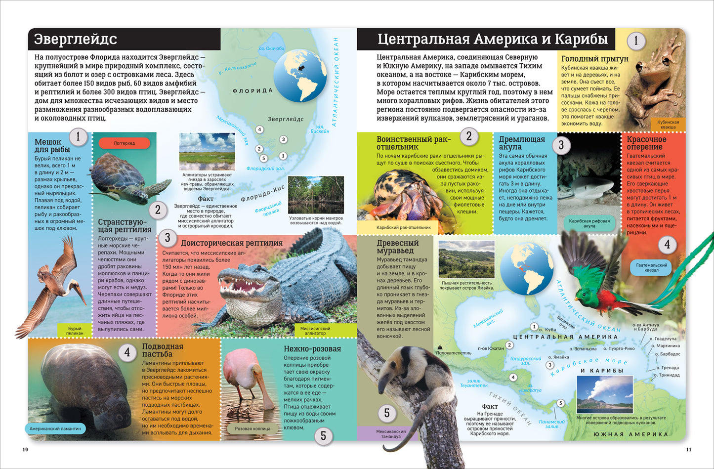 Детский атлас. Животные мира