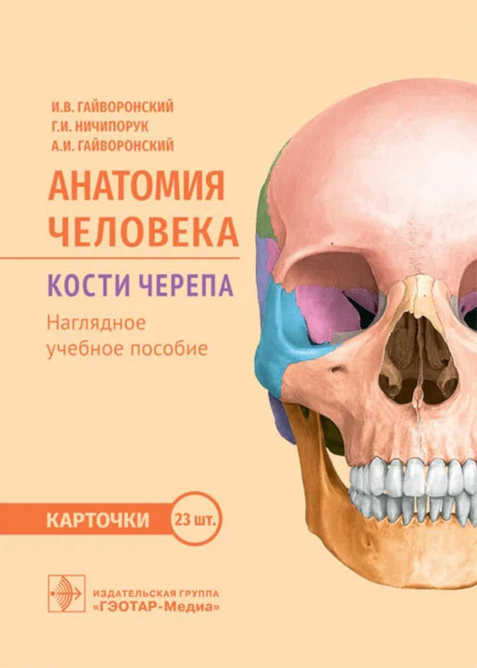 Анатомия человека. Кости черепа. Карточки : наглядное учебное пособие / И. В. Гайворонский, Г. И. Ничипорук, А. И. Гайворонский. — Москва : ГЭОТАР-Медиа, 2025. — 23 двустор. карт. : ил.
