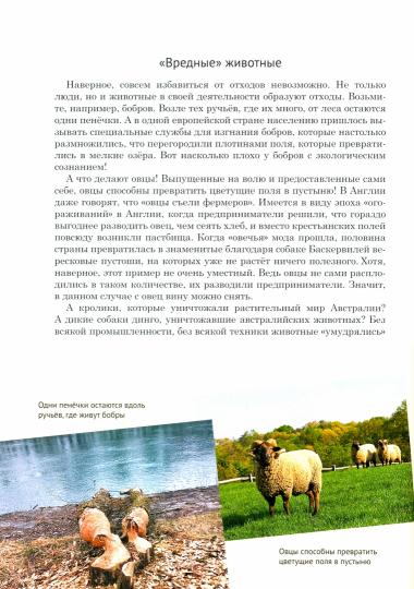 Порядок на планете