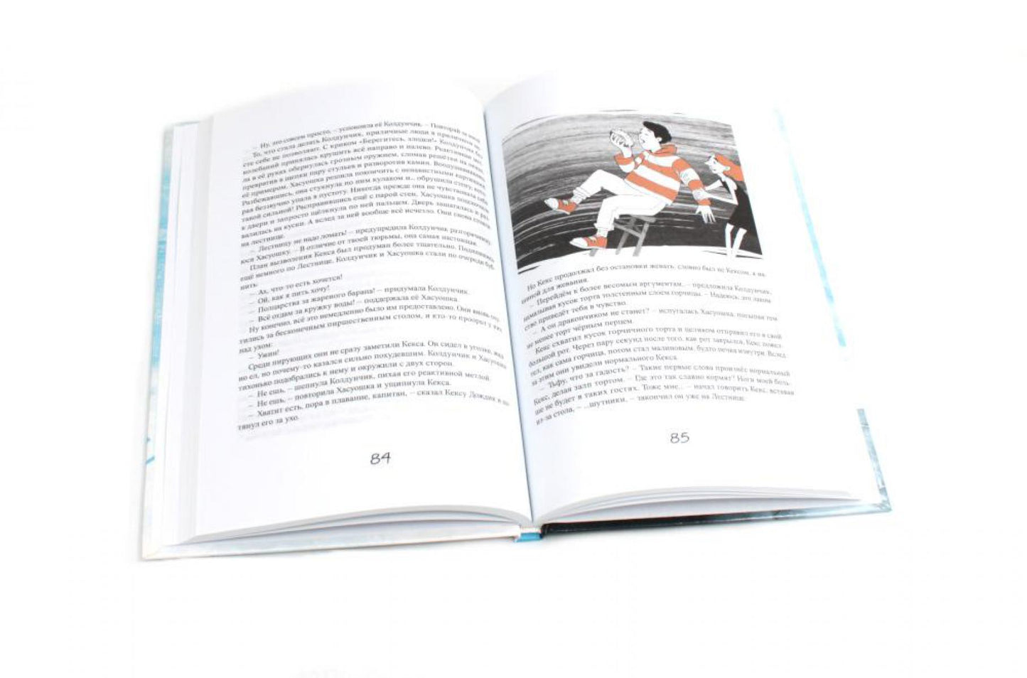 Эрмитажные коты (комплект из 2-х книг)