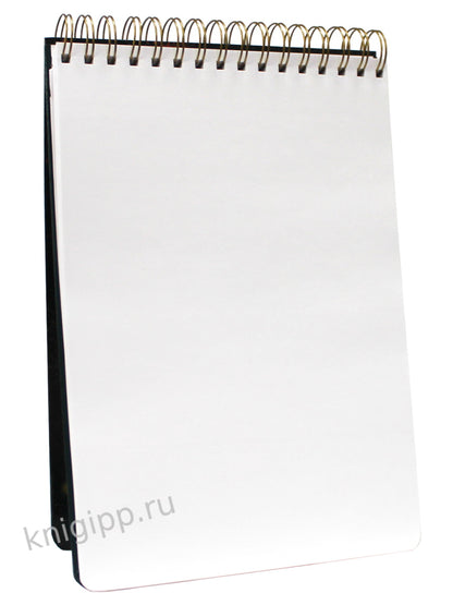 MyArt. СКЕТЧБУК А4 на гребне. ОГНЕННЫЙ КОТ