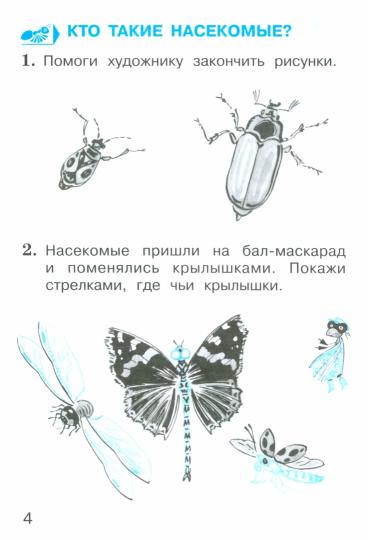 Окружающий мир. 1 кл. В 2 ч. Ч. 2. Тетрадь для тренировки и самопроверки. 9-е изд., перераб. и доп