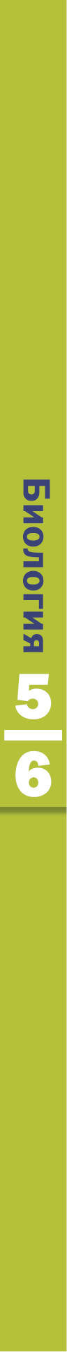 Биология. 5-6 класс. Учебник.