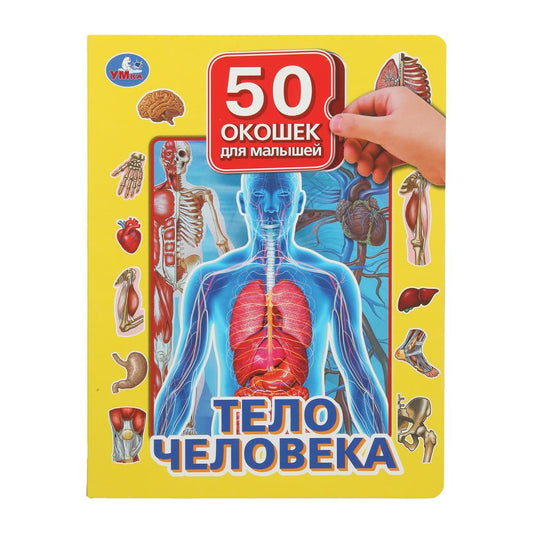 Тело человека. 50 окошек для малышей. 200х260 мм. 10 картонных страниц. Умка в кор.50шт