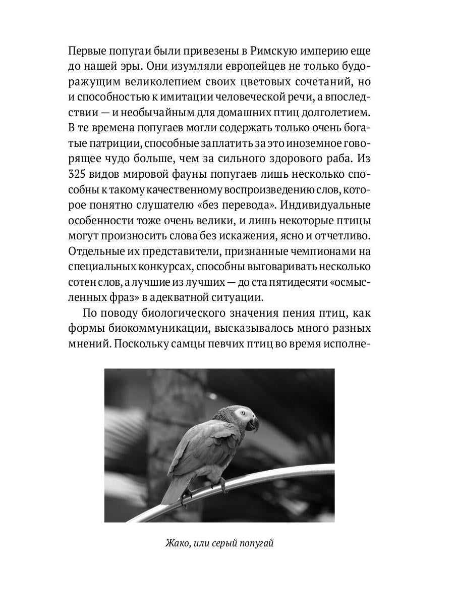 Пернатые многоженцы: Любовь, браки, измены и разводы в мире птиц