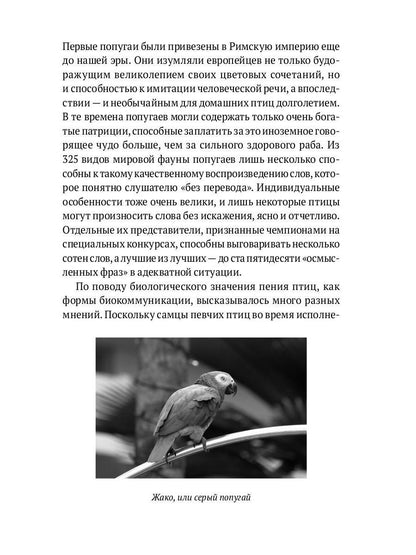 Пернатые многоженцы: Любовь, браки, измены и разводы в мире птиц