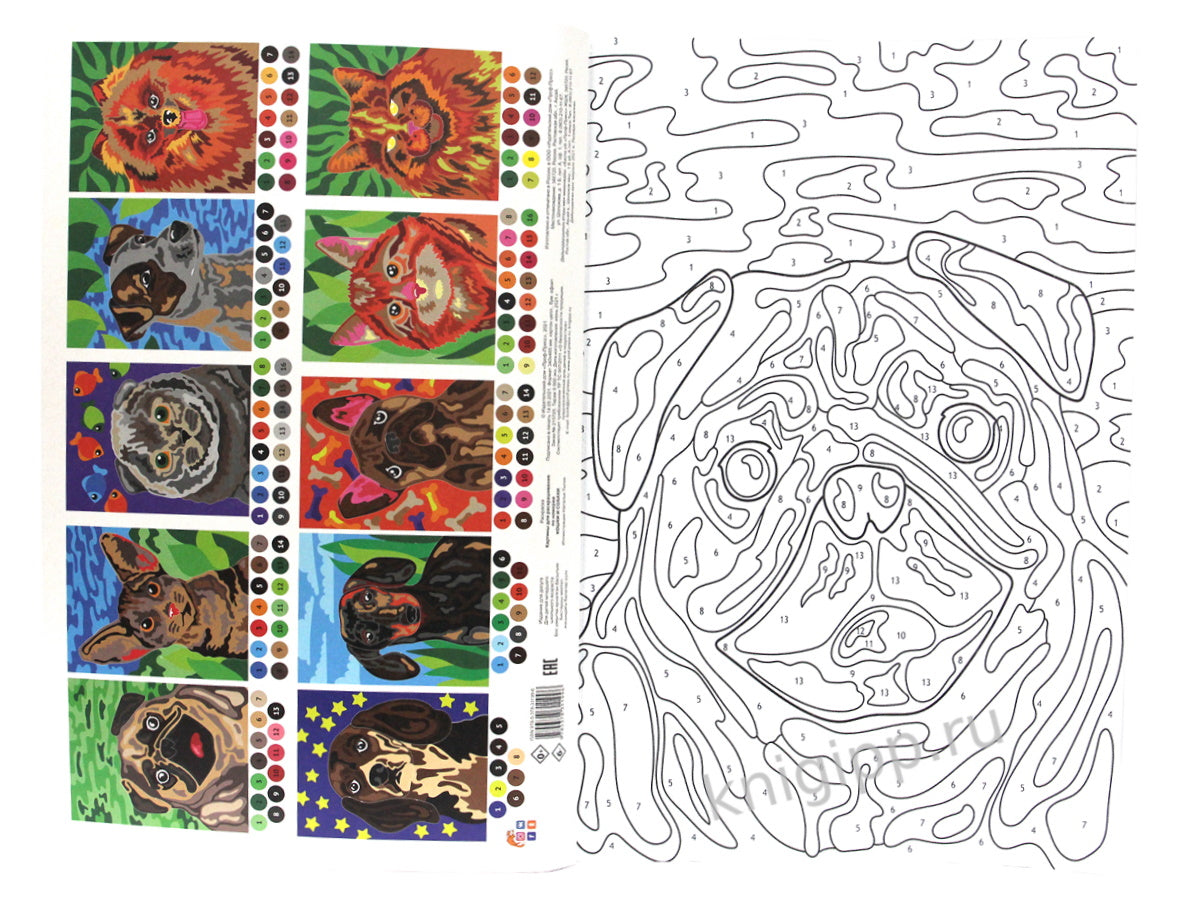 КАРТИНЫ для раскрашивания по номерам. КОШКИ И СОБАКИ