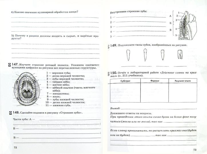Биология. Человек 8кл [Р/т+ЕГЭ] Вертикаль