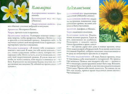 Цветочная терапия