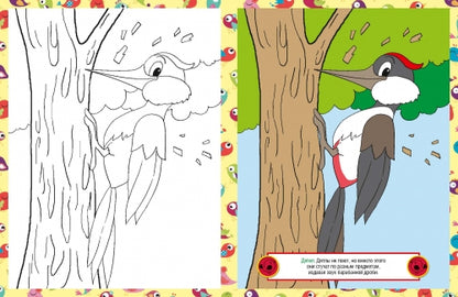 Птицы. Детская раскраска