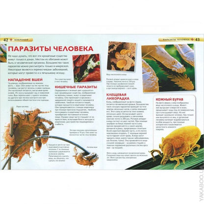 Микромир. Детская энциклопедия