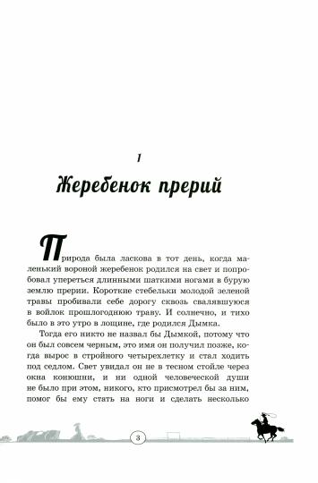 Дымка. Конь ковбоя